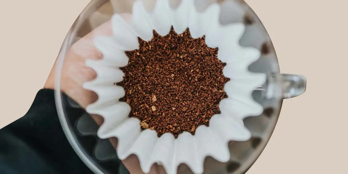 8 Best Pour Over Coffee Beans You Can Buy In 2024 (Ranked)